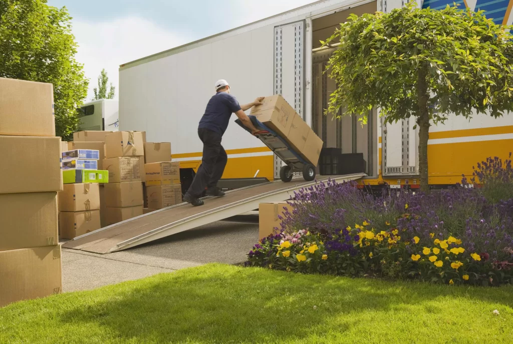 Moving Boxes