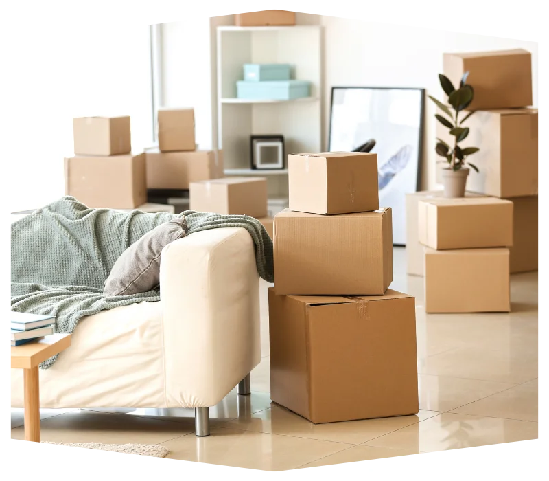 Moving Boxes