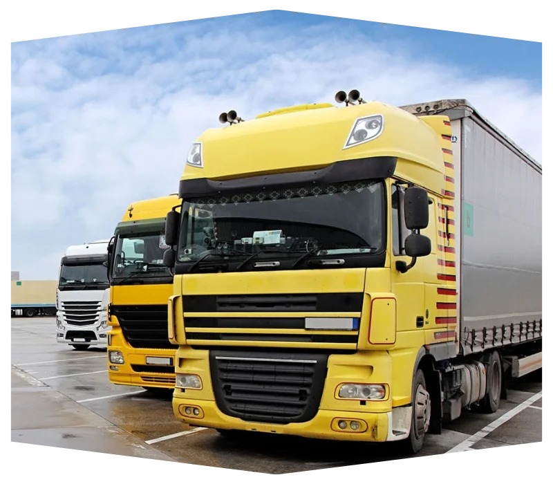 Villa Movers in Emirates Hills